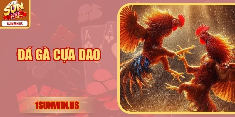 Đá Gà Cựa Dao - 4 Chiến Lược Thắng Lớn Nên Vận Dụng