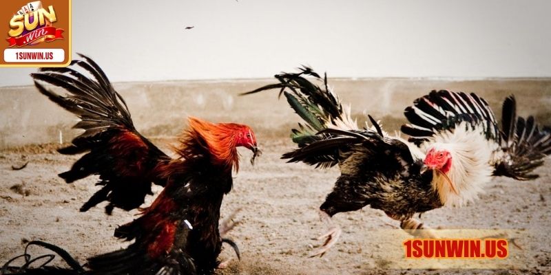 Mẹo hiệu quả ghi âm để tăng khả năng tiếp thu nhanh